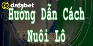 Cách nuôi lô