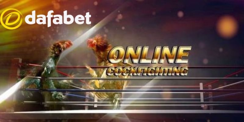 Đá Gà Dafabet 3 Các hình thức đá gà online tại Dafabet phổ biến hiện nay