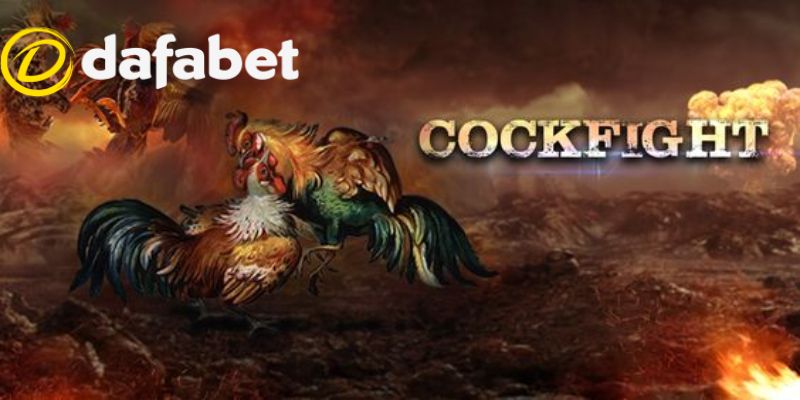Đá Gà Dafabet 2 Các yếu tố tạo nên sức hấp dẫn của đá gà Dafabet trực tuyến